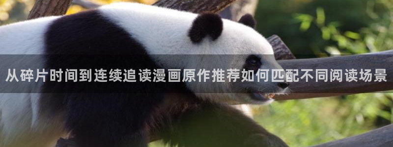 漫漫漫画官网入口