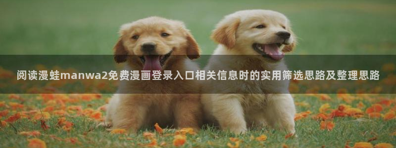 漫漫漫画官网